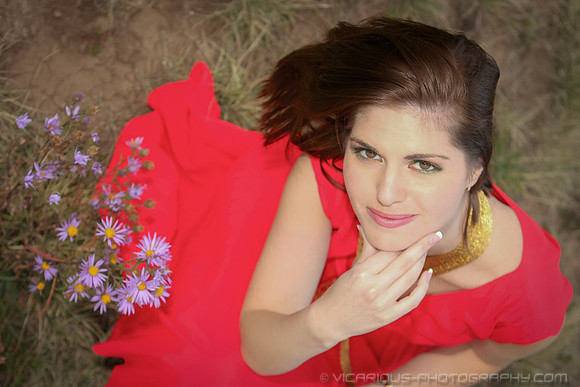 Award winning professional photographer “Aaron Jackson” “Northern Virginia” natural landscapes time lapse fashion event photography awards galas “red carpet” publicity photos portraits “head shots” we