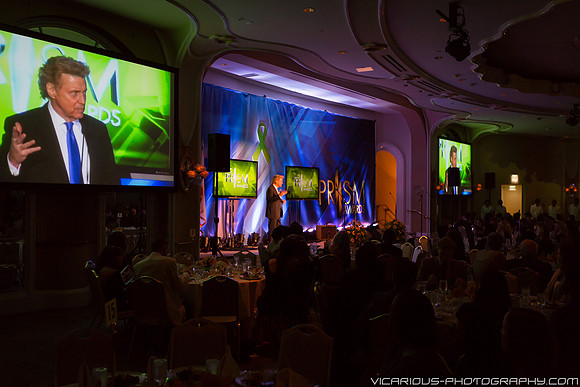 PRISM Awards 2013-3