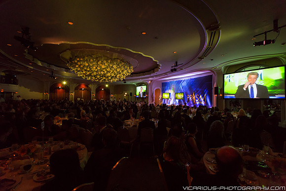 PRISM Awards 2013-4