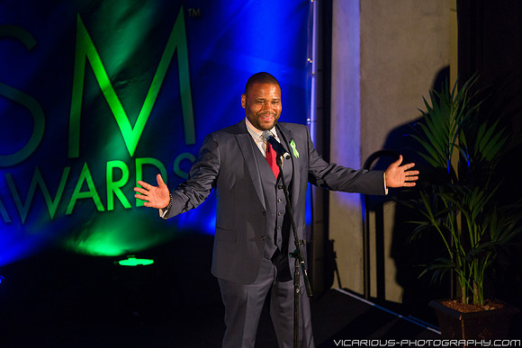 Anthony Anderson - PRISM Awards 2014