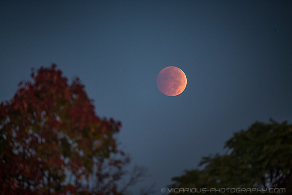 Autumn Eclipse (08OCT14)