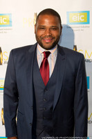 Anthony Anderson - PRISM Awards 2014