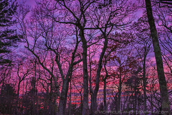 Award winning professional photographer “Aaron Jackson” “Northern Virginia” natural landscapes time lapse fashion event photography awards galas “red carpet” publicity photos portraits “head shots” we