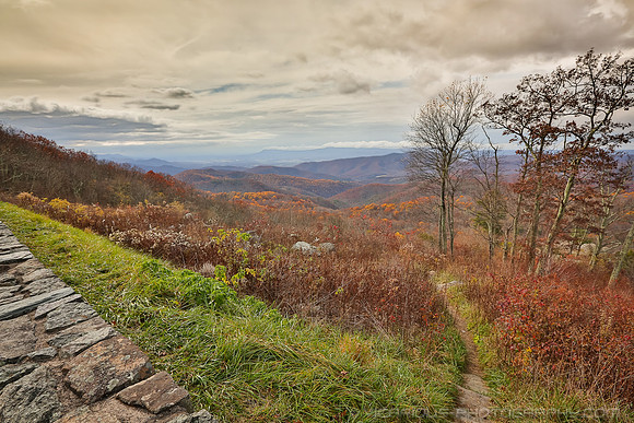 Award winning professional photographer “Aaron Jackson” “Northern Virginia” natural landscapes time lapse fashion event photography awards galas “red carpet” publicity photos portraits “head shots” we