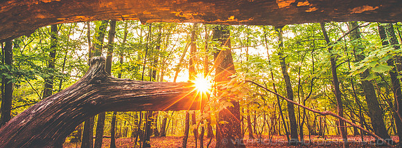 Last Light of Summer