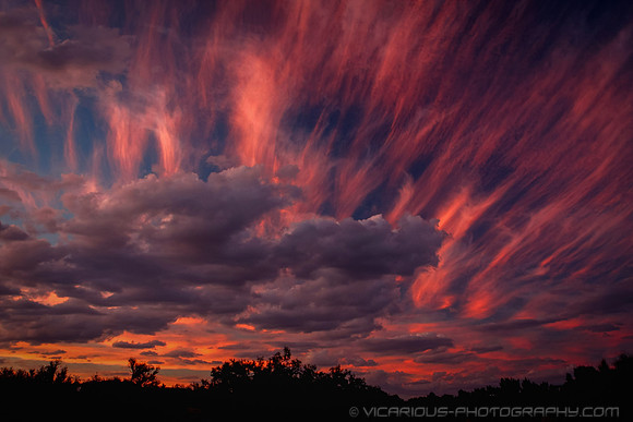 Award winning professional photographer “Aaron Jackson” “Northern Virginia” natural landscapes time lapse fashion event photography awards galas “red carpet” publicity photos portraits “head shots” we