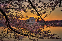 vicarious-photography “Aaron Jackson” Virginia landscapes time-lapse fashion event awards “red carpet” publicity portraits 2013 "Cherry Blossom" Jefferson Memorial Tidal Bason Washington DC Festival