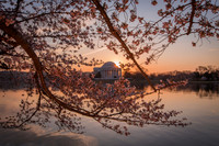 vicarious-photography “Aaron Jackson” Virginia landscapes time-lapse fashion event awards “red carpet” publicity portraits 2013 "Cherry Blossom" Jefferson Memorial Tidal Bason Washington DC Festival