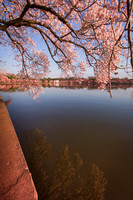 vicarious-photography “Aaron Jackson” Virginia landscapes time-lapse fashion event awards “red carpet” publicity portraits 2013 "Cherry Blossom" Jefferson Memorial Tidal Bason Washington DC Festival