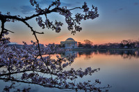 vicarious-photography “Aaron Jackson” Virginia landscapes time-lapse fashion event awards “red carpet” publicity portraits 2013 "Cherry Blossom" Jefferson Memorial Tidal Bason Washington DC Festival