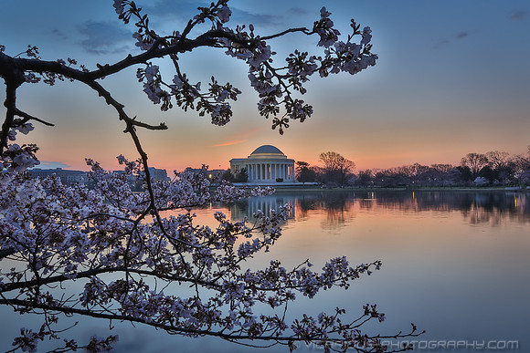 vicarious-photography “Aaron Jackson” Virginia landscapes time-lapse fashion event awards “red carpet” publicity portraits 2013 "Cherry Blossom" Jefferson Memorial Tidal Bason Washington DC Festival