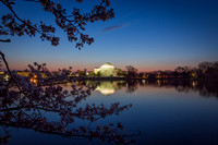 vicarious-photography “Aaron Jackson” Virginia landscapes time-lapse fashion event awards “red carpet” publicity portraits 2013 "Cherry Blossom" Jefferson Memorial Tidal Bason Washington DC Festival