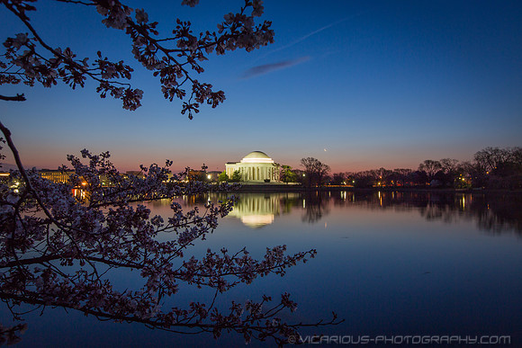 vicarious-photography “Aaron Jackson” Virginia landscapes time-lapse fashion event awards “red carpet” publicity portraits 2013 "Cherry Blossom" Jefferson Memorial Tidal Bason Washington DC Festival