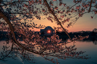 vicarious-photography “Aaron Jackson” Virginia landscapes time-lapse fashion event awards “red carpet” publicity portraits 2013 "Cherry Blossom" Jefferson Memorial Tidal Bason Washington DC Festival