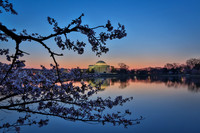 vicarious-photography “Aaron Jackson” Virginia landscapes time-lapse fashion event awards “red carpet” publicity portraits 2013 "Cherry Blossom" Jefferson Memorial Tidal Bason Washington DC Festival