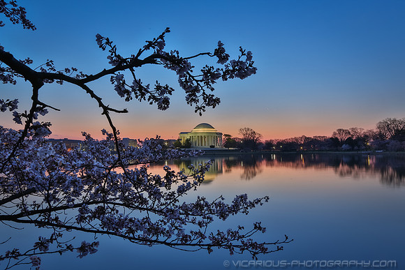 vicarious-photography “Aaron Jackson” Virginia landscapes time-lapse fashion event awards “red carpet” publicity portraits 2013 "Cherry Blossom" Jefferson Memorial Tidal Bason Washington DC Festival