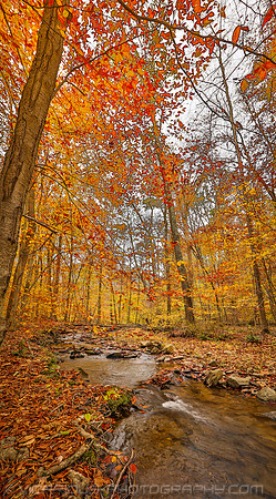 Catoctin Mountain Park 22OCT13-3
